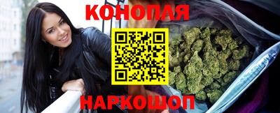 гашик Ливны