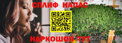 гашик Ливны