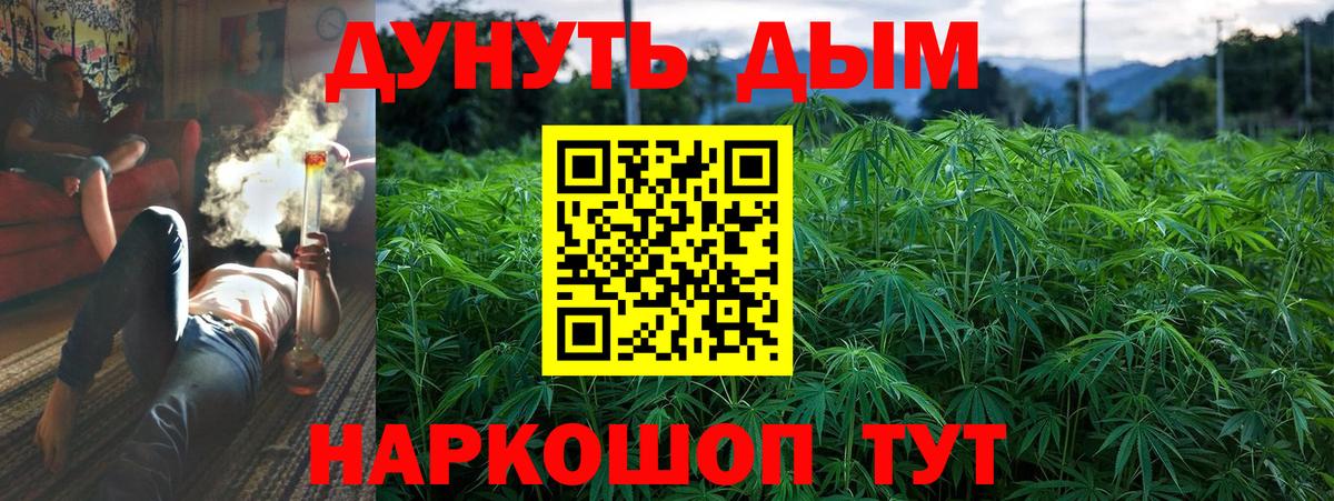 Конопля конопля Изобильный